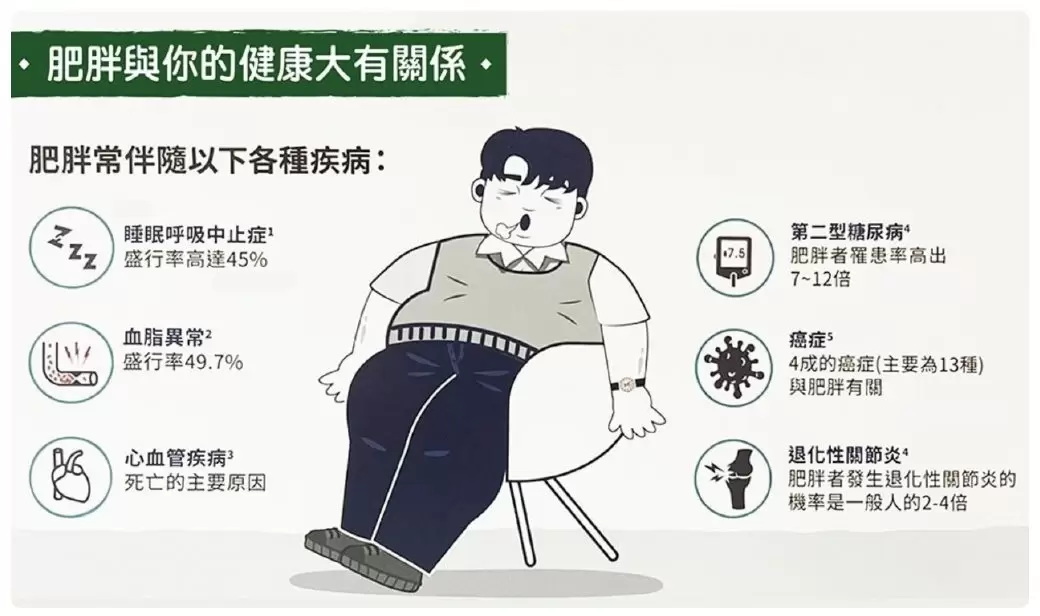 肥胖與你的健康大有關係，正視肥胖問題【居家減重】